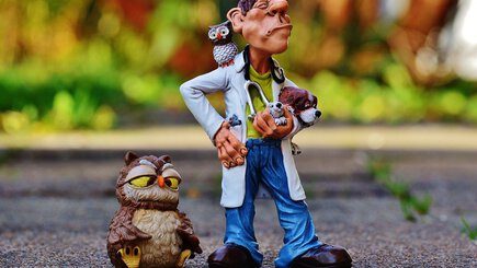 Recensies en info over Dierenartsen in België