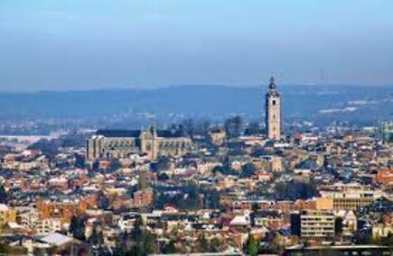 Recensies van bedrijven in Henegouwen