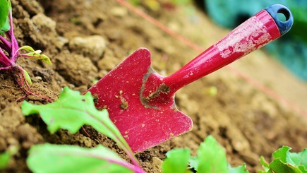 Recensies en info over Tuincentras in België